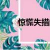 惊慌失措的拼音和意思（惊慌失措）