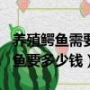 养殖鳄鱼需要什么证件和条件（养殖100条鳄鱼要多少钱）