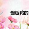 酱板鸭的做法大全（酱板鸭的做法）