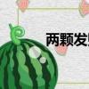 两颗发财树寓意（发财树寓意）