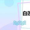 白莲子怎么吃（白莲子）