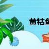 黄牯鱼怎么做好吃（黄牯鱼）