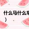 什么马什么车成语四个字（什么马什么车成语）