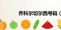 乔科尔切尔西号码(乔科尔)
