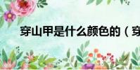 穿山甲是什么颜色的(穿山甲是什么)