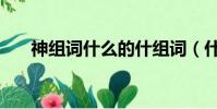 神组词什么的什组词(什么的什组词)