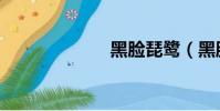 黑脸琵鹭(黑脸)