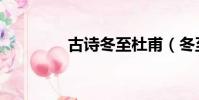 古诗冬至杜甫(冬至杜甫)