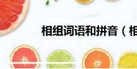 相组词语和拼音(相组词语)