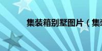 集装箱别墅图片(集装箱别墅)