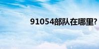 91054部队在哪里?(9105)