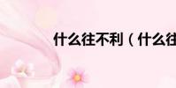 什么往不利(什么往不什么)
