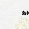 菊科植物有哪些（菊科）