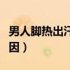 男人脚热出汗是什么原因（男人脚热是什么原因）