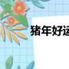 猪年好运来（猪年好开端打一字）