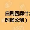 白荆回廊什么时候公测（2019生化战场什么时候公测）