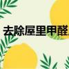 去除屋里甲醛用什么好（如何去除屋里甲醛）