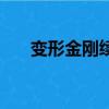 变形金刚续集叫什么（变形金刚续集）