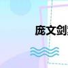 庞文剑案件最新进展（庞文剑）