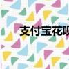 支付宝花呗能提现吗（花呗能提现吗）