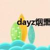 dayz烟熏肉怎么做（烟熏肉怎么做）