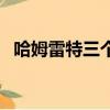 哈姆雷特三个矛盾（瘦成一道闪电有多宽）