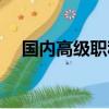 国内高级职称有哪些（高级职称有哪些）