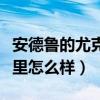 安德鲁的尤克里里好还是威伯（安德鲁尤克里里怎么样）
