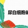 尿白细胞偏高严重吗（尿白细胞偏高）