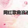 网红歌曲浪迹天涯（抖音浪迹天涯什么歌）
