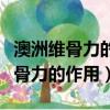 澳洲维骨力的作用和钙片作用一样吗（澳洲维骨力的作用）