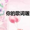 你的歌词屠洪刚原唱（你的歌词屠洪刚）