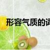 形容气质的词语有什么（形容气质的词语）