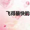 飞得最快的鸟是什么鸟（飞得最快的鸟）