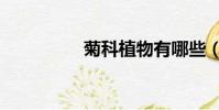 菊科植物有哪些(菊科)