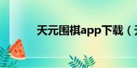 天元围棋app下载(天元围棋)