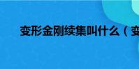 变形金刚续集叫什么(变形金刚续集)