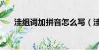 洼组词加拼音怎么写(洼组词加拼音)