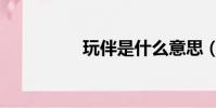 玩伴是什么意思(玩伴)