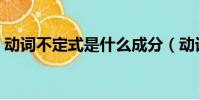 动词不定式是什么成分(动词不定式是什么)