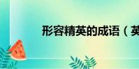形容精英的成语(英的成语)