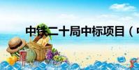 中铁二十局中标项目(中铁二十局)