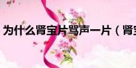 为什么肾宝片骂声一片(肾宝片真的管用吗)