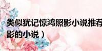 类似犹记惊鸿照影小说推荐(类似犹记惊鸿照影的小说)