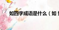 如四字成语是什么(如 如 四字成语)