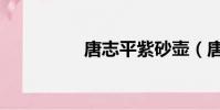 唐志平紫砂壶(唐志平)