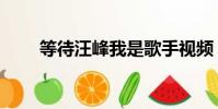 等待汪峰我是歌手视频(等待汪峰)