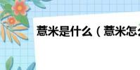 薏米是什么(薏米怎么吃最好)