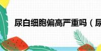 尿白细胞偏高严重吗(尿白细胞偏高)
