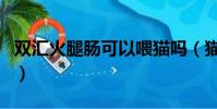 双汇火腿肠可以喂猫吗(猫咪一般吃什么食物)